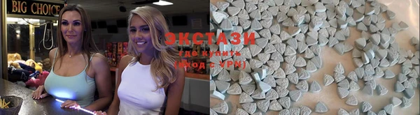 ECSTASY Богородицк