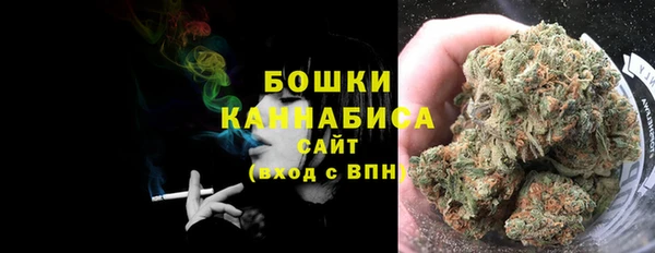 ECSTASY Богородицк