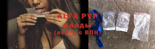 крисы Богданович