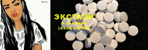ECSTASY Богородицк