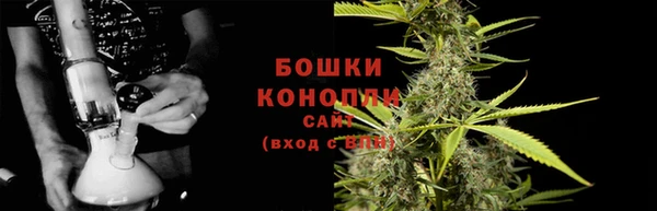 ECSTASY Богородицк