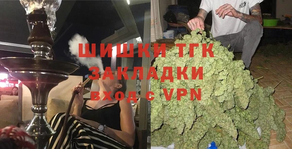 ECSTASY Богородицк