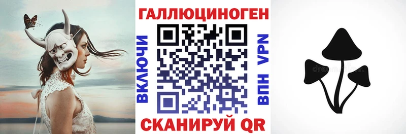 Купить где Вязьма Псилоцибиновые грибы Magic Shrooms